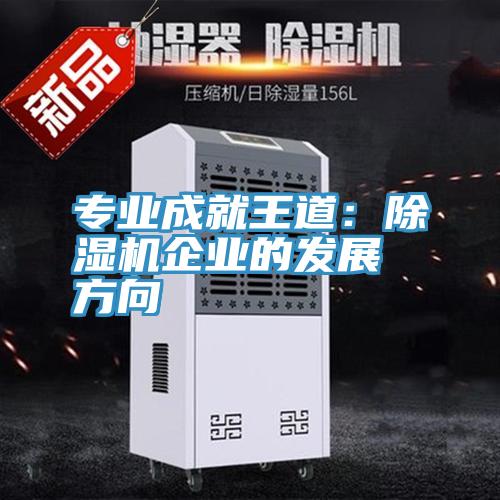 專業成就王道:除濕機企業的發展方向