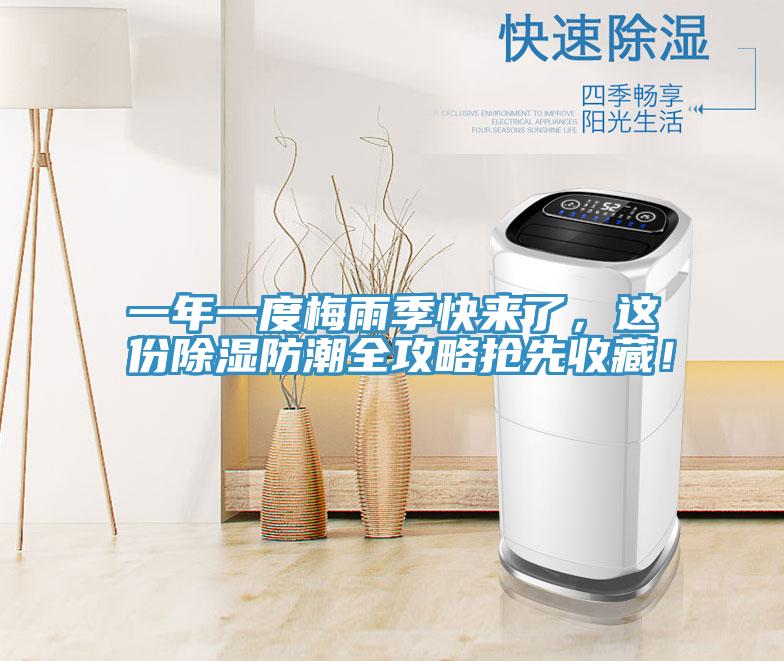 一年一度梅雨季快來了，這份除濕防潮全攻略搶先收藏！