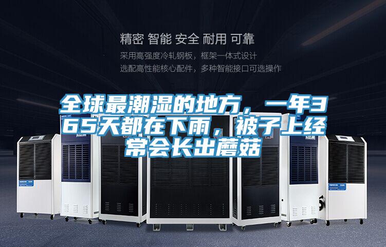 全球最潮濕的地方，一年365天都在下雨，被子上經常會長出蘑菇