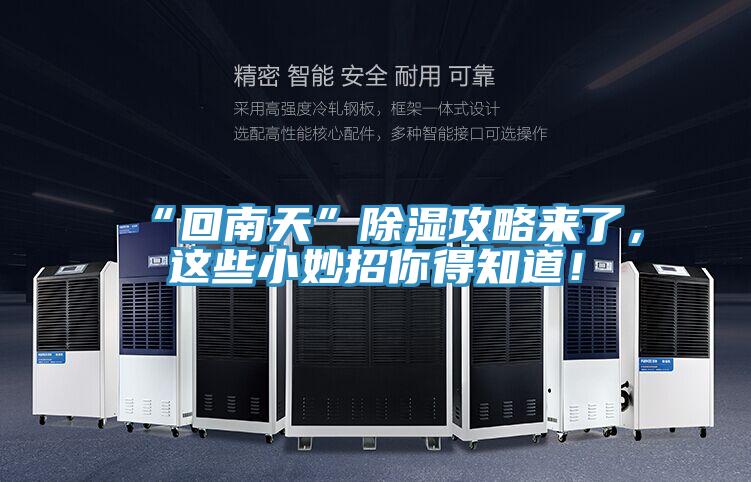 “回南天”除濕攻略來了，這些小妙招你得知道！