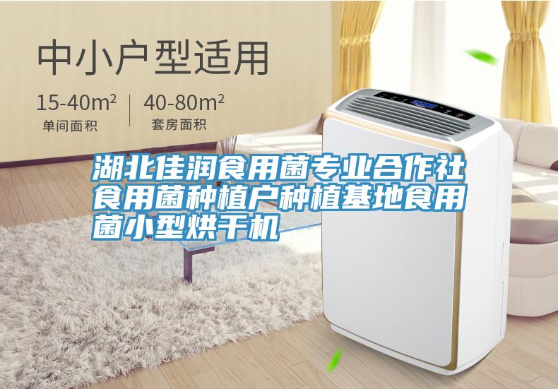湖北佳潤食用菌專業合作社食用菌種植戶種植基地食用菌小型烘干機