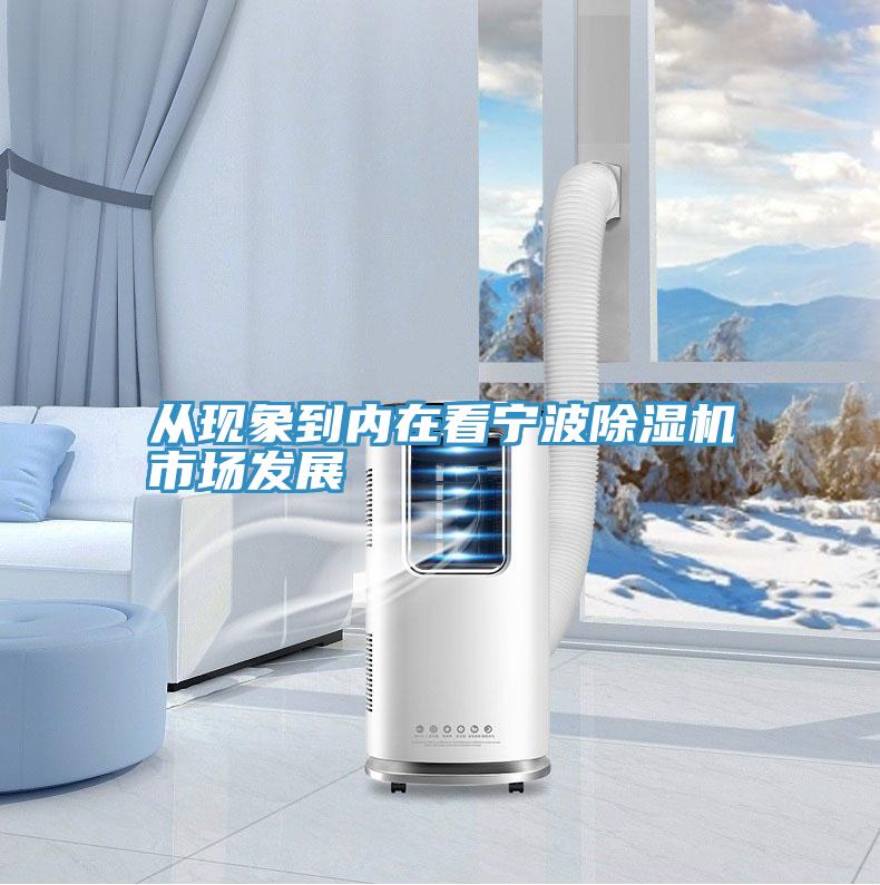 從現象到內在看寧波除濕機市場發展