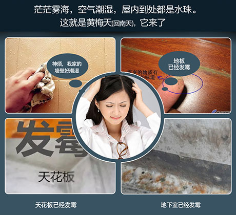 家庭別墅的地下室、衛(wèi)生間、儲物室等該如何除濕？