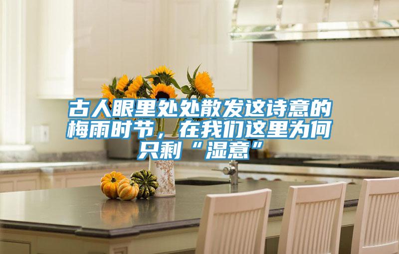 古人眼里處處散發這詩意的梅雨時節,在我們這里為何只剩“濕意”