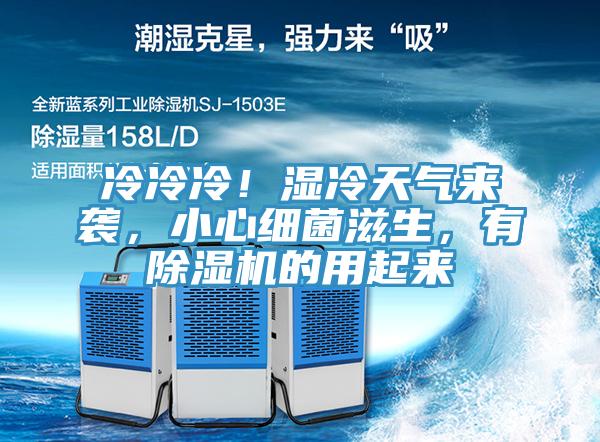 冷冷冷!濕冷天氣來襲,小心細菌滋生,有除濕機的用起來