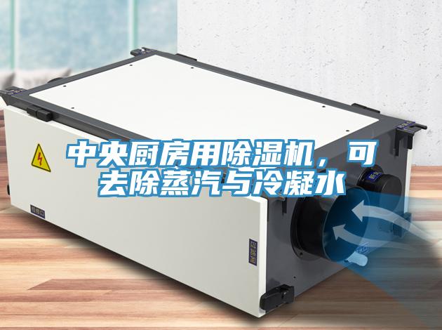 中央廚房用除濕機，可去除蒸汽與冷凝水