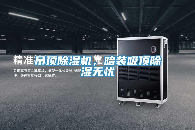 吊頂除濕機，暗裝吸頂除濕無憂