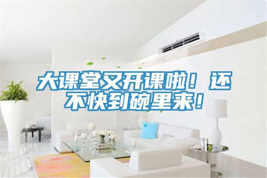 大課堂又開課啦!還不快到碗里來!