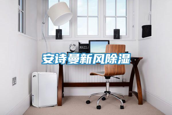 安詩曼新風除濕
