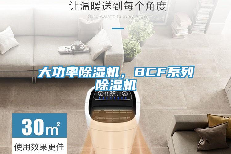 大功率除濕機,BCF系列除濕機
