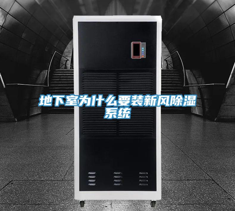 地下室為什么要裝新風除濕系統