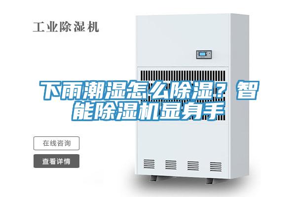 下雨潮濕怎么除濕？智能除濕機顯身手
