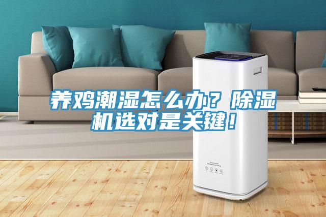 養(yǎng)雞潮濕怎么辦?除濕機(jī)選對(duì)是關(guān)鍵!