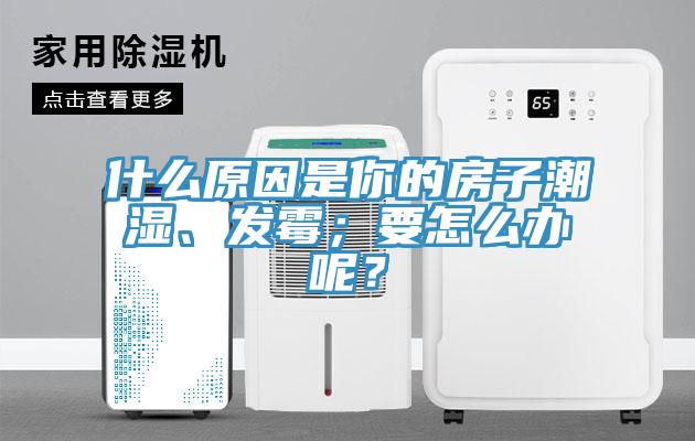什么原因是你的房子潮濕、發霉;要怎么辦呢?