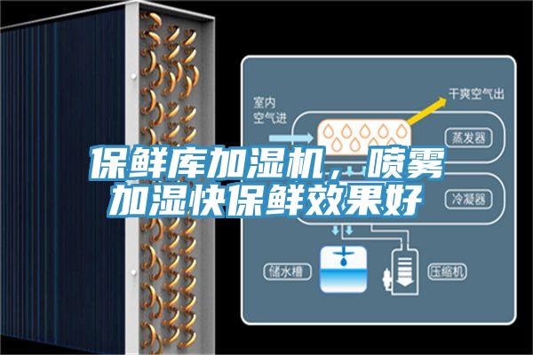 保鮮庫加濕機，噴霧加濕快保鮮效果好