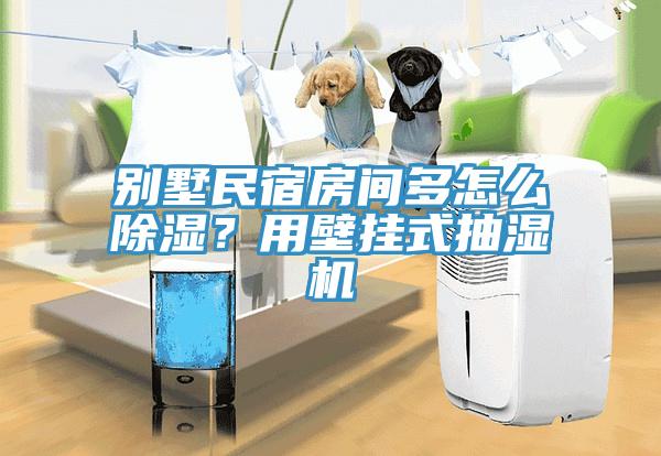 別墅民宿房間多怎么除濕？用壁掛式抽濕機