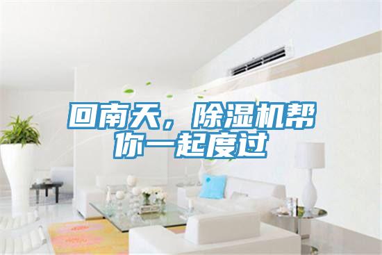 回南天，除濕機幫你一起度過