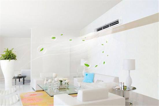 回南天來了！家里趕緊擺上這個，潮濕、發(fā)霉全解決了