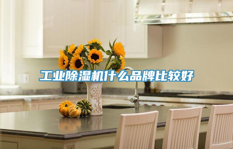 工業除濕機什么品牌比較好