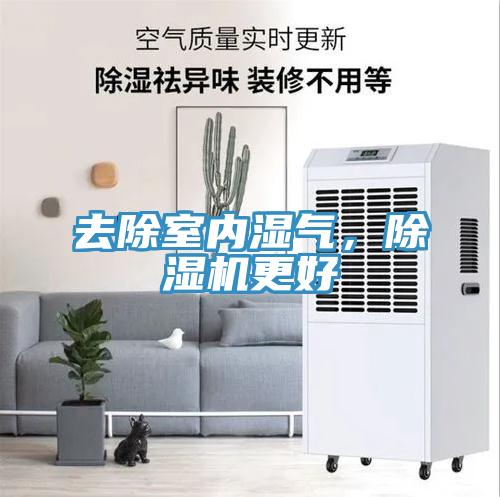 去除室內(nèi)濕氣,除濕機更好