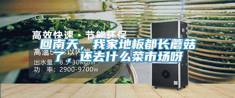 回南天,我家地板都長蘑菇了,還去什么菜市場呀