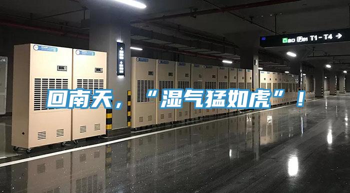 回南天,“濕氣猛如虎”!
