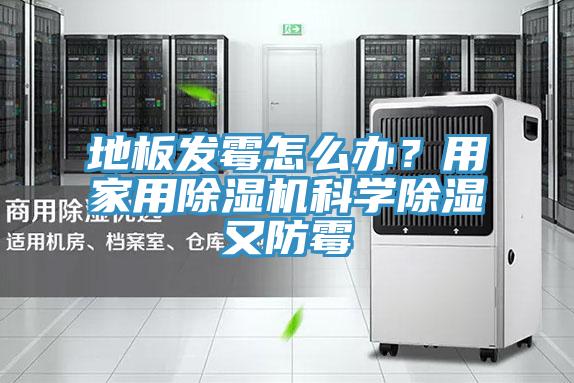 地板發(fā)霉怎么辦？用家用除濕機(jī)科學(xué)除濕又防霉