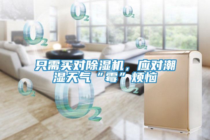 只需買對除濕機，應對潮濕天氣“霉”煩惱