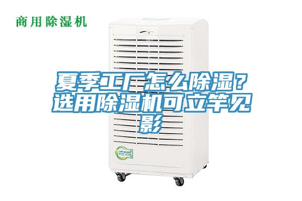 夏季工廠怎么除濕?選用除濕機(jī)可立竿見影