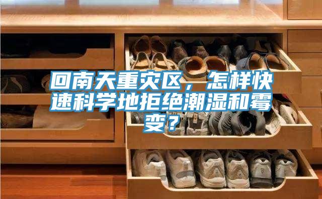 回南天重災區，怎樣快速科學地拒絕潮濕和霉變？