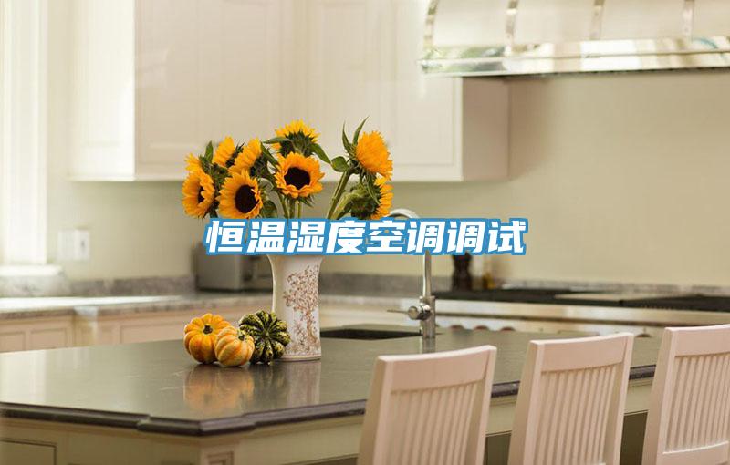 恒溫濕度空調調試