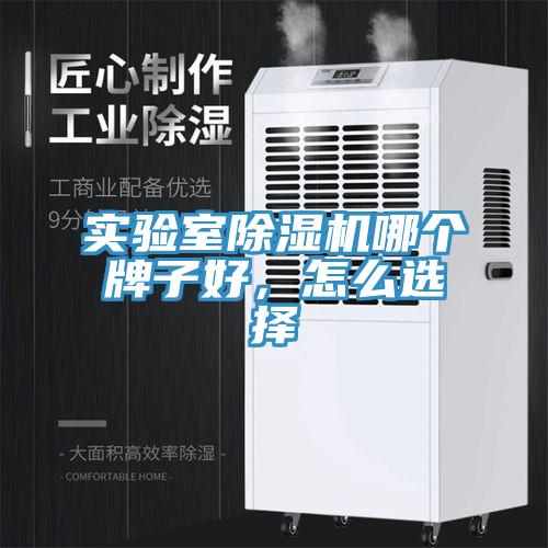 實驗室除濕機哪個牌子好,怎么選擇