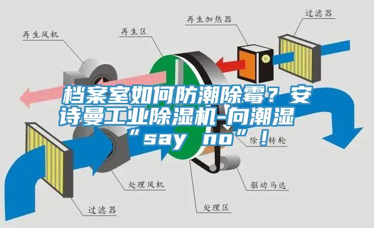 檔案室如何防潮除霉？安詩(shī)曼工業(yè)除濕機(jī)-向潮濕“say no”！