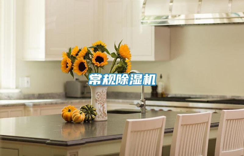 常規除濕機