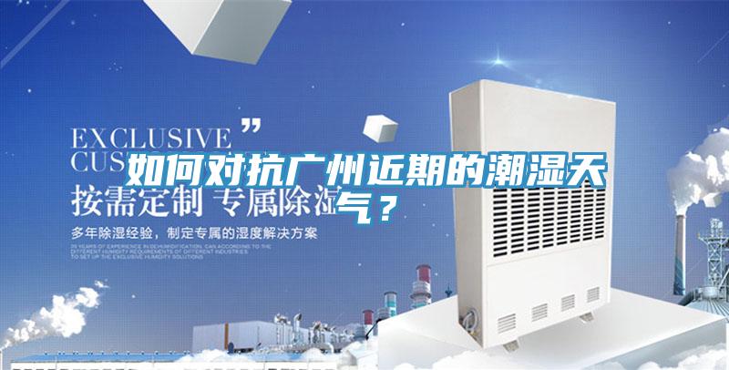 如何對抗廣州近期的潮濕天氣?