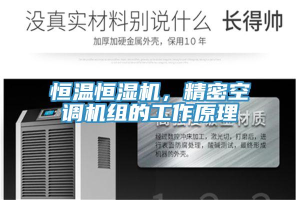 恒溫恒濕機(jī),精密空調(diào)機(jī)組的工作原理