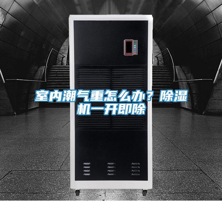 室內潮氣重怎么辦？除濕機一開即除