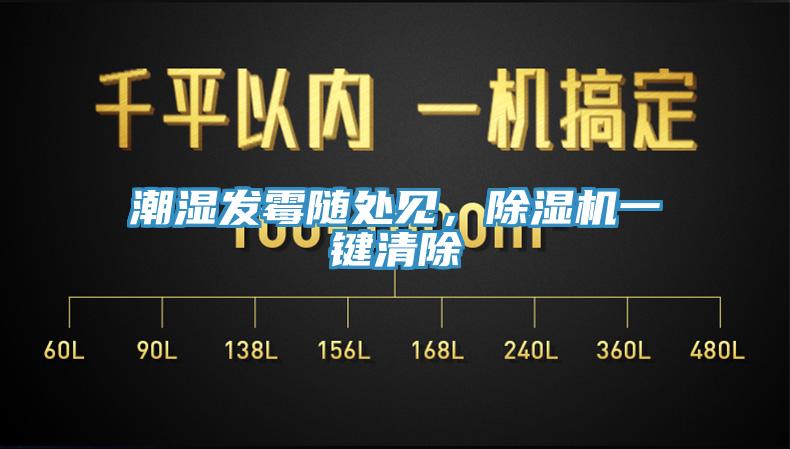潮濕發霉隨處見,除濕機一鍵清除