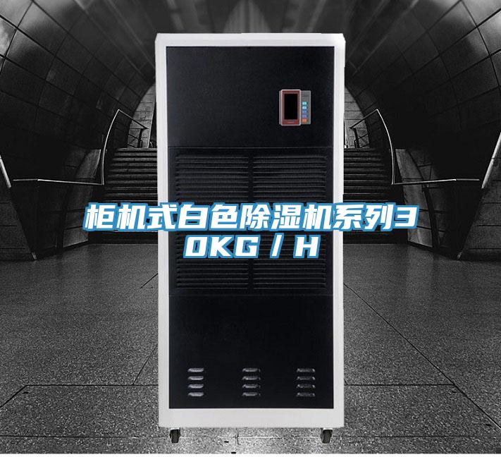 柜機式白色除濕機系列30KG／H