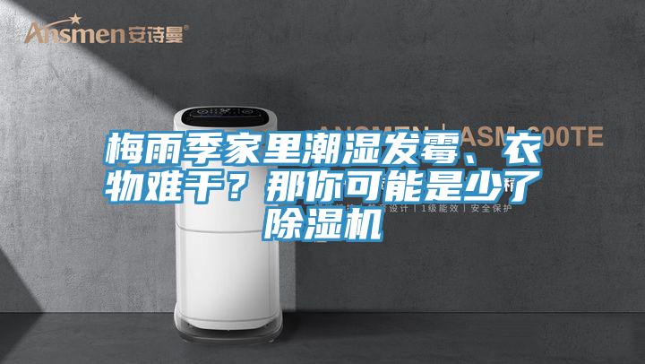 梅雨季家里潮濕發霉、衣物難干?那你可能是少了除濕機