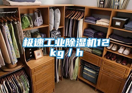極速工業除濕機12kg／h