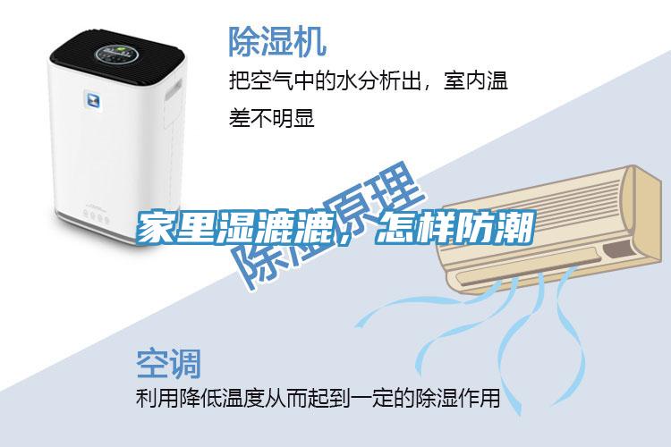 家里濕漉漉,怎樣防潮