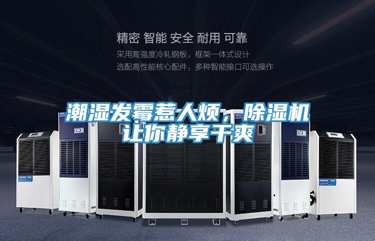 潮濕發霉惹人煩,除濕機讓你靜享干爽