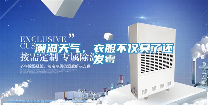 潮濕天氣,衣服不僅臭了還發(fā)霉