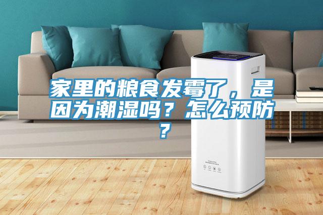 家里的糧食發(fā)霉了，是因為潮濕嗎？怎么預(yù)防？