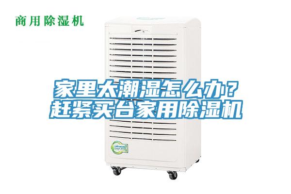 家里太潮濕怎么辦？趕緊買臺家用除濕機