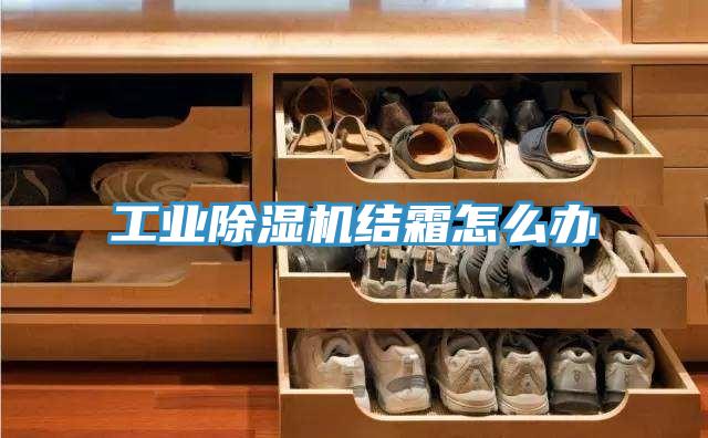 工業(yè)除濕機結(jié)霜怎么辦