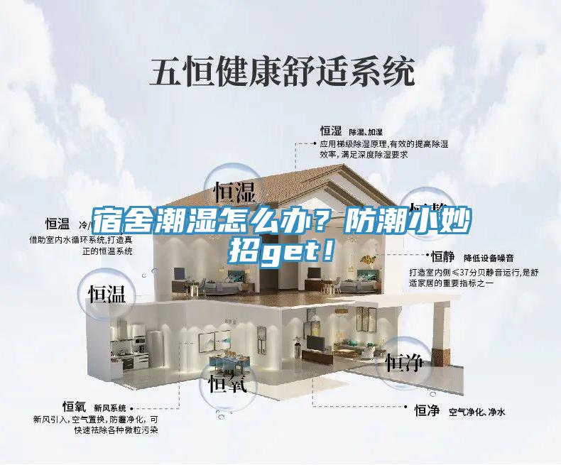 宿舍潮濕怎么辦?防潮小妙招get!