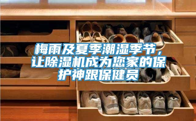 梅雨及夏季潮濕季節，讓除濕機成為您家的保護神跟保健員