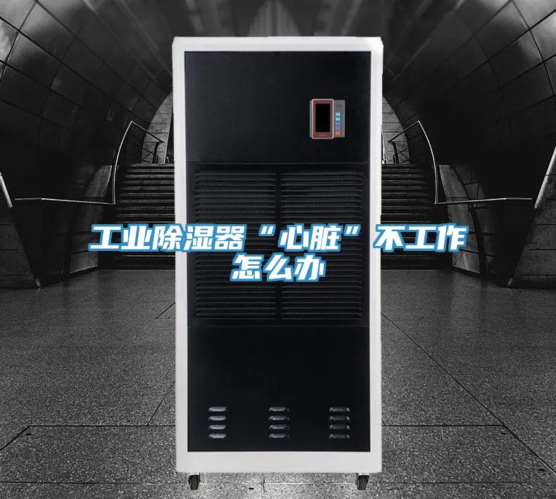 工業除濕器“心臟”不工作怎么辦